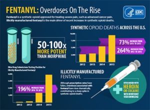 fentanyl overdoses on the rise infographic