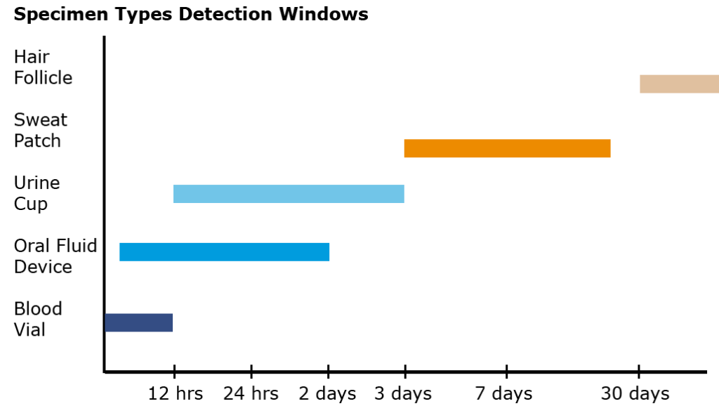 Speciem Types Detection Windows for Evidence-based practices